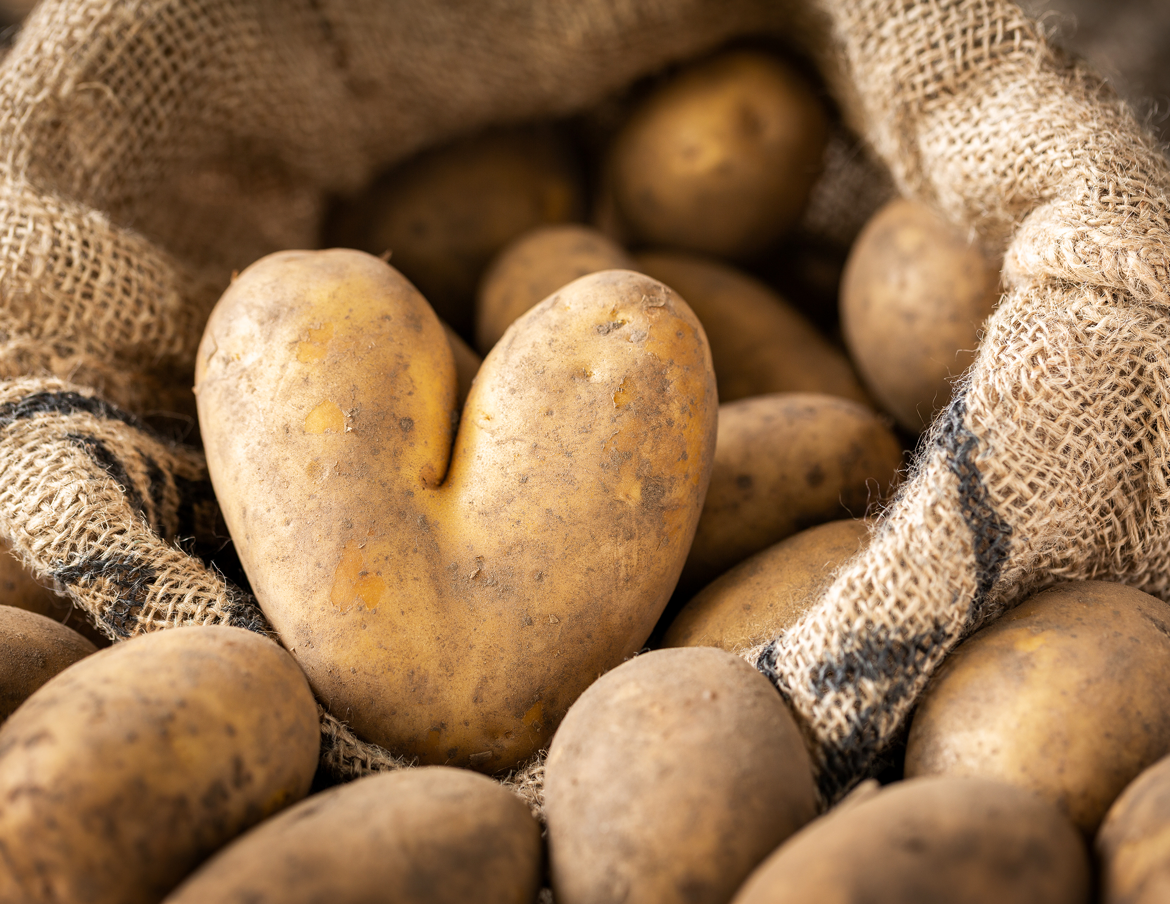 Ein Sack gefüllt mit Kartoffeln, wobei eine herzförmig ist.