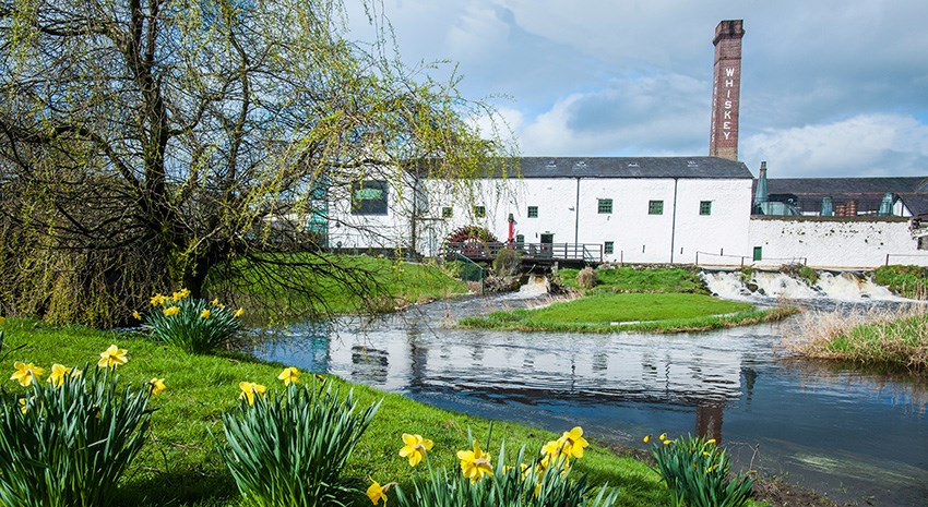 Destillerie in Irland