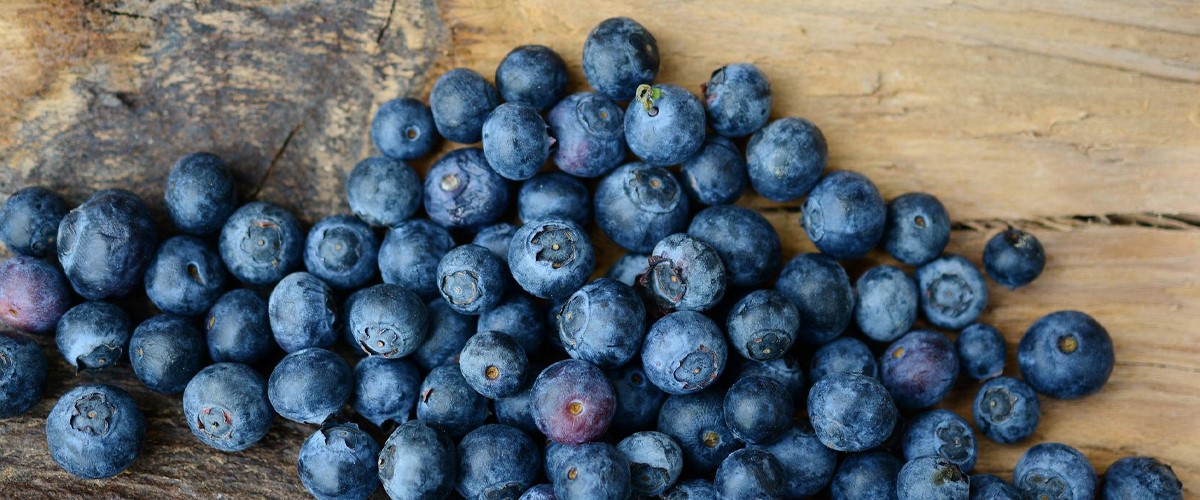 Heidelbeeren