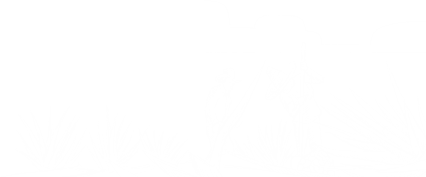 Illustration Agavenfeld