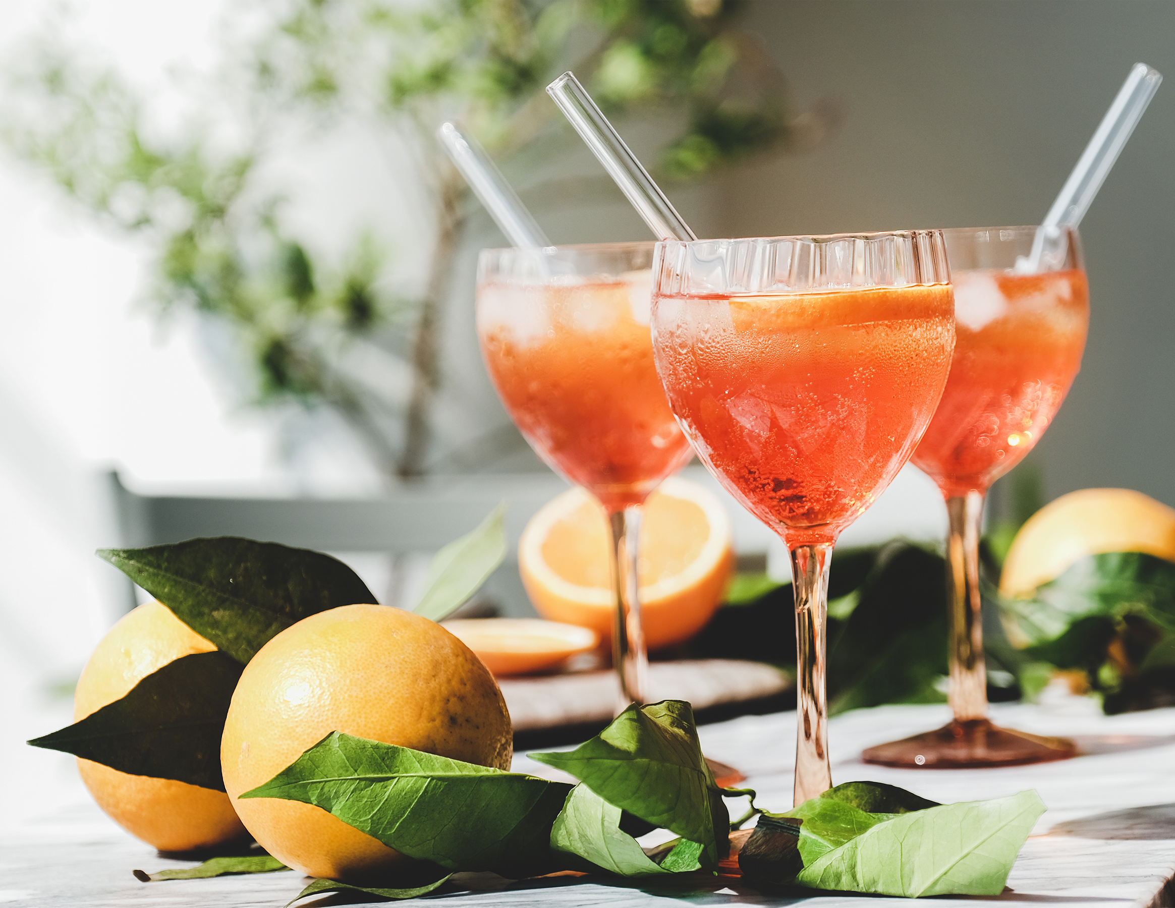 Aperitif mit Orangen