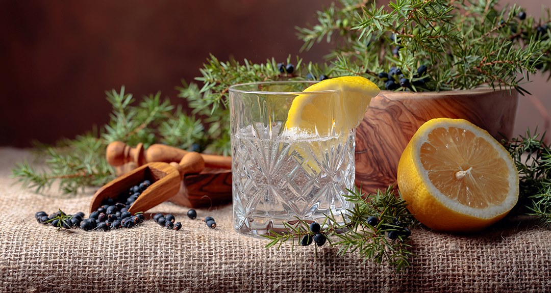Gin Tonic, Wacholder und Zitrone