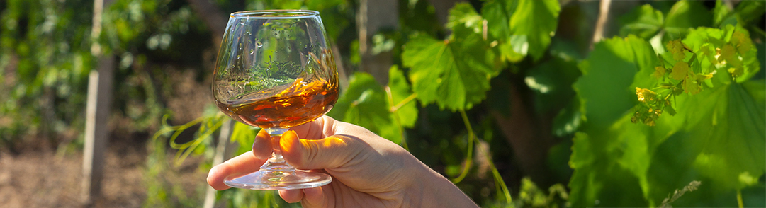 Cognac