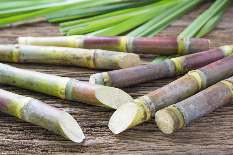 Eine Reise durch die Welt des Rums