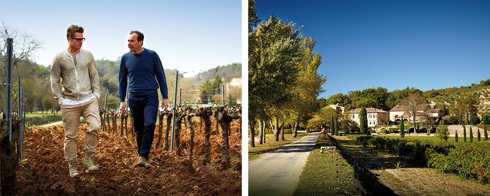 Chateau de Miraval Weinberge