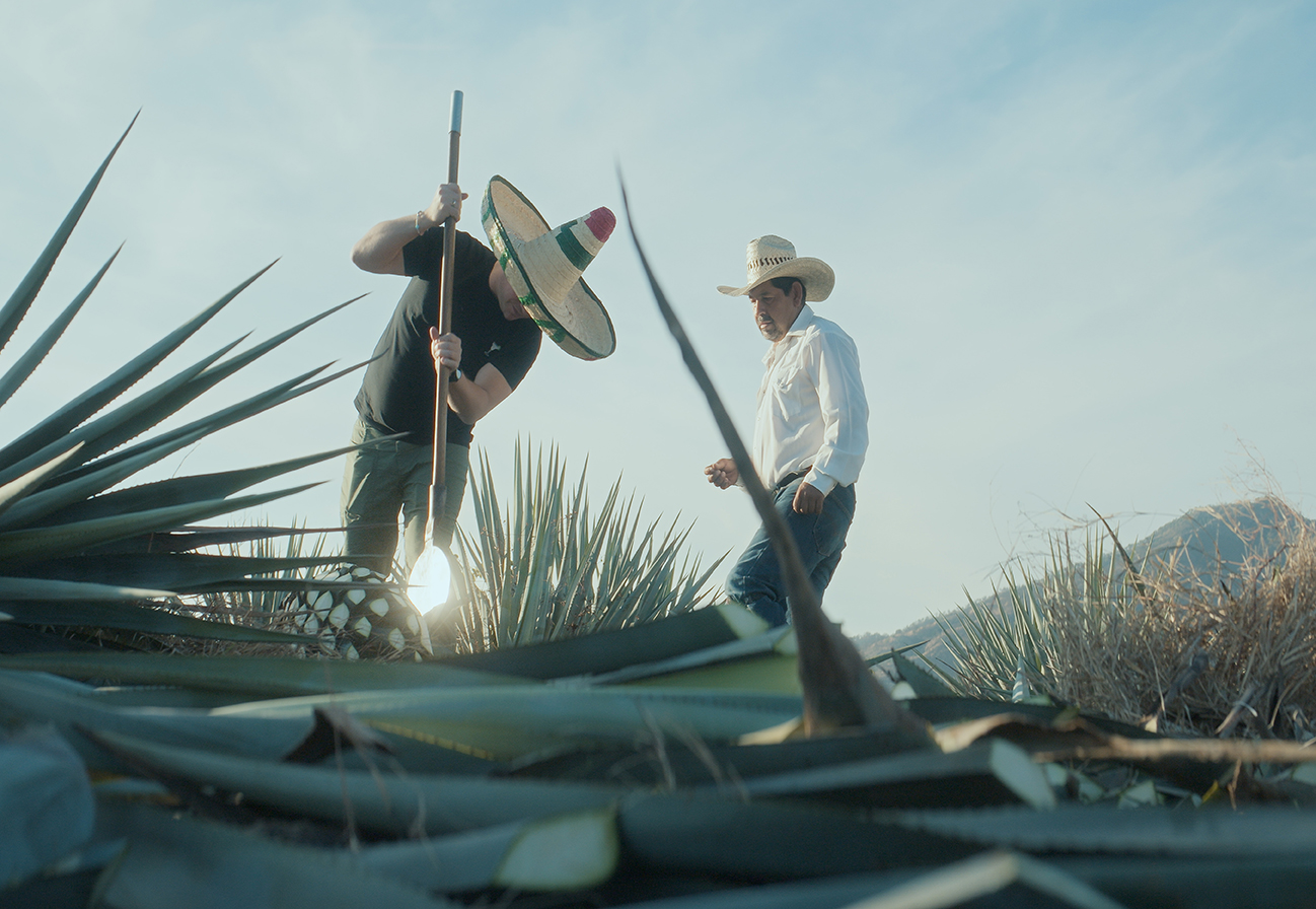 Entdecke die Welt von Tequila & Mezcal