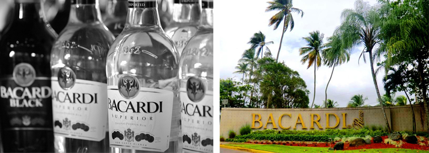 Bacardi_2