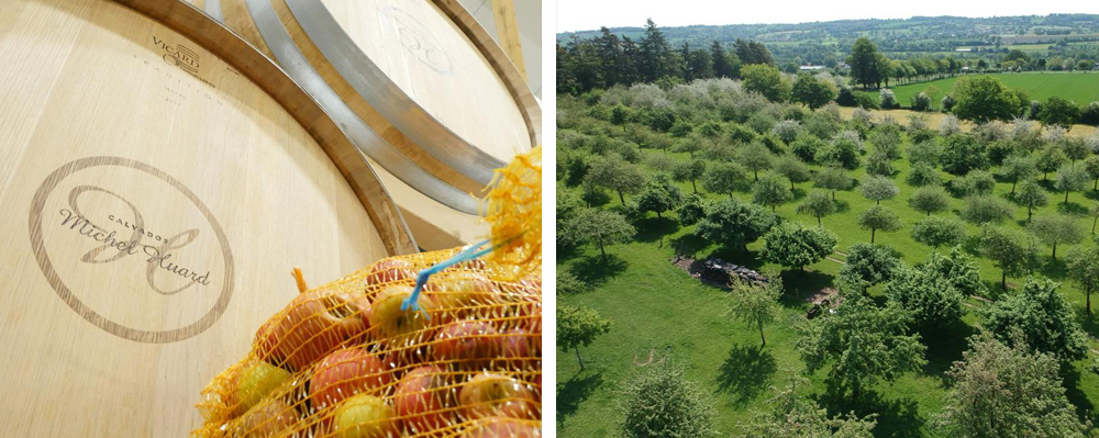Fass, Äpfel und Apfelbäume