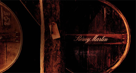 remy_martin_3